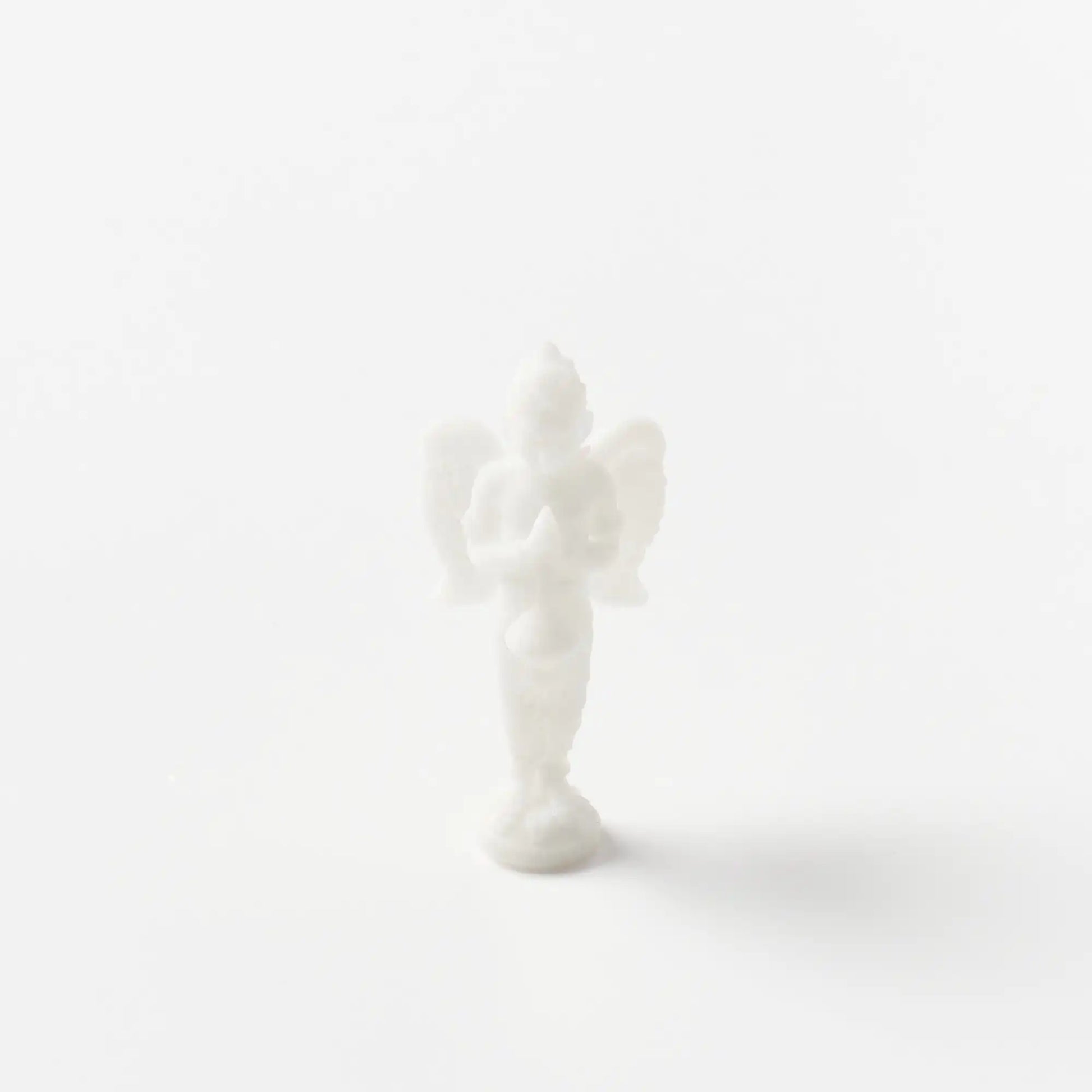 Sri Hari Vigraha Set - Sadhana Shop