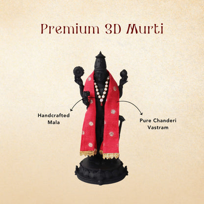 Sri Hari Vigraha Set